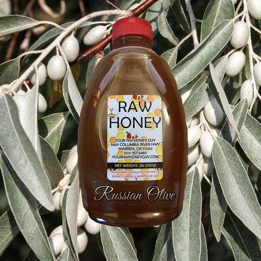 Russian Olive